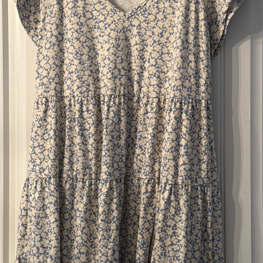 Altar'd State Blue and Cream Floral Mini Dress